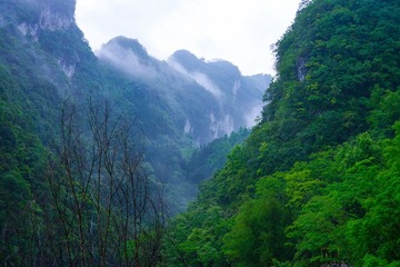 DSC00802_副本.jpg