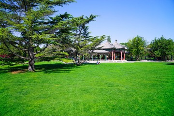 DSC01504_副本.jpg