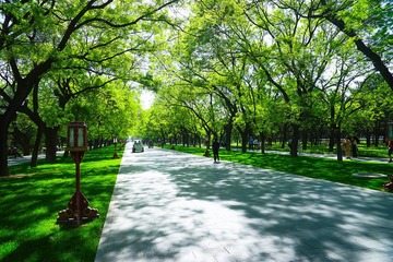 DSC01508_副本.jpg