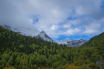 DSC06940_ (2)