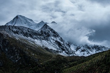 DSC07087_