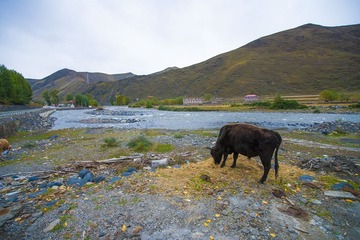 DSC07325_