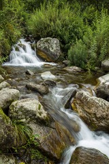 IMG_5725_2