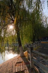 IMG_2149-1