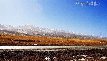 IMG_8838.jpg