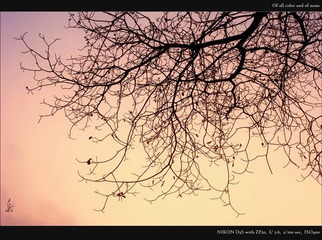 _SKY0234_resize