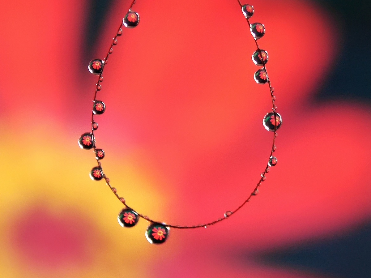 创意项链 - 林子118 - 图虫网 - 优质摄影师交流社区