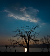 DSC_1646.jpg