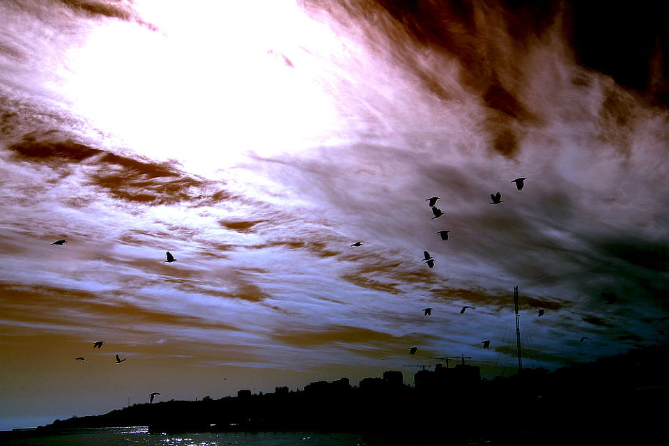 黑海岸边 - 水煮肉片