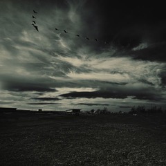 空