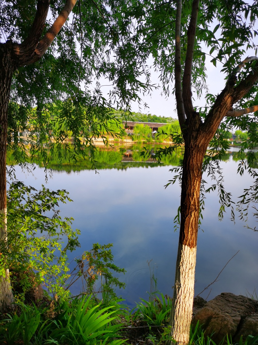 临沂蒙阴樱之崮度假小镇