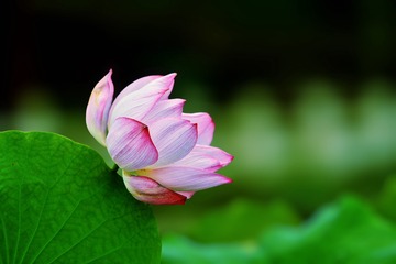 IMG_20250618_164850