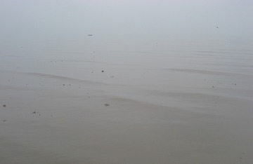 IMG_0698_