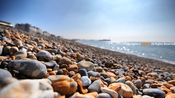 DSC_5447.jpg