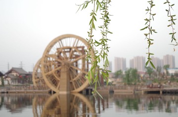 IMGP0156.JPG