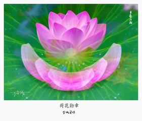 001