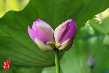 001