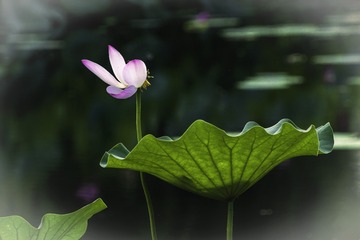 001