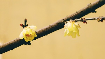 3E6D6003-A324-4C01-847C-E338682480CF/L0/001