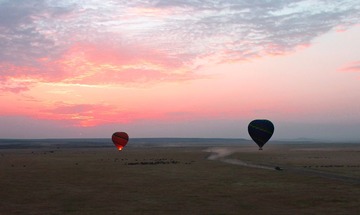 IMG_1492a
