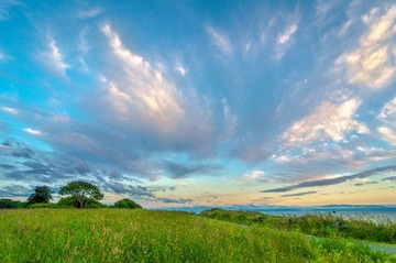 DSC_9454-1-2.jpg