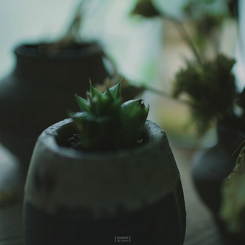 微博:<a href="http://weibo.com/sunflowerm23" target="_blank" rel="nofollow">http://weibo.com/sunflowerm23</a>