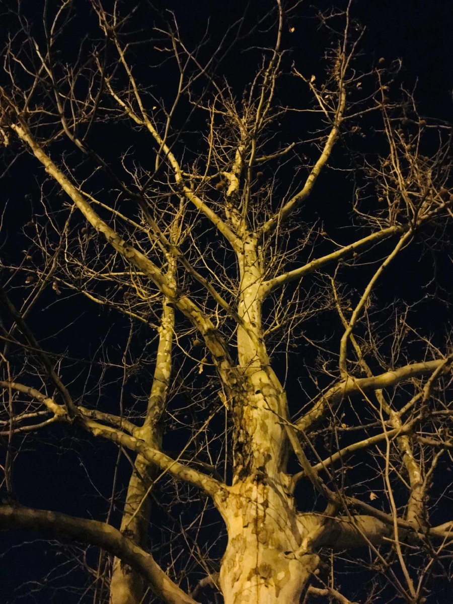 反差- 大友映画 - 图虫网 - 优质摄影师交流社区