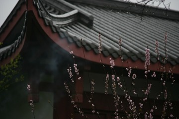 WM3H0901