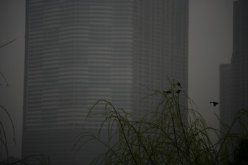 WM3H0918