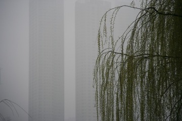 WM3H0858