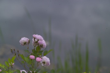 F7K76911