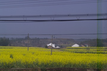 F7K76716