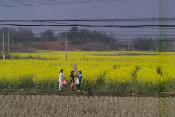 F7K76719