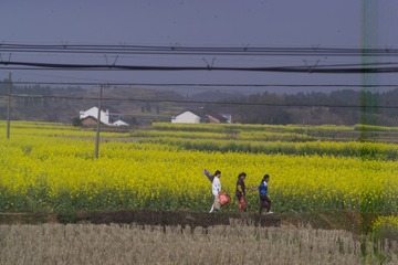 F7K76722