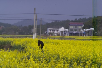 F7K76725