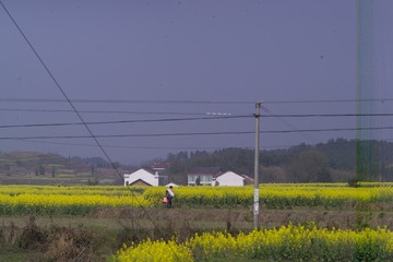 F7K76736