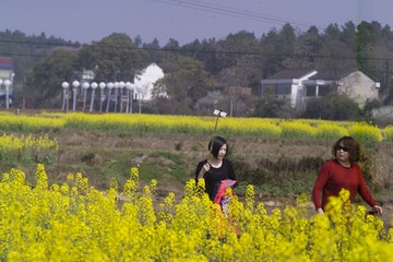 F7K76745