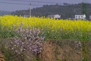 F7K76747