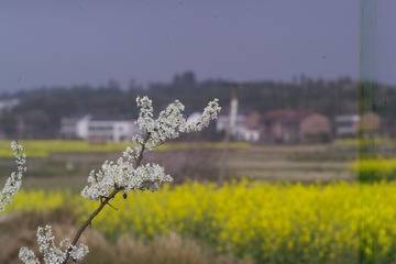 F7K76753