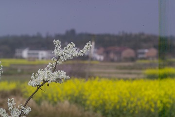F7K76754