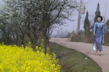 F7K76777