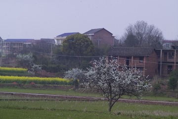 F7K76784