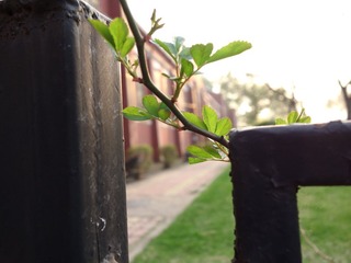 DSC01434-1.jpg