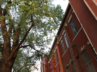 DSC01435-1.jpg