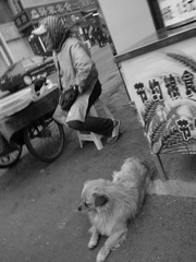 DSC01457-1.jpg