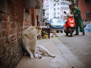 DSC02879.jpg
