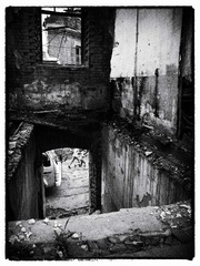 DSC03744-编辑-1.jpg