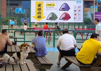 20130715-DSC04387.jpg