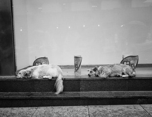 DSC06081-编辑-1