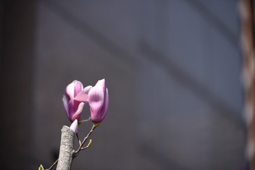 200117